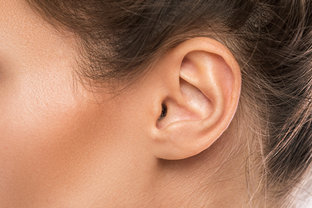 How Hearing Works: Understanding Tiny Ear Structures