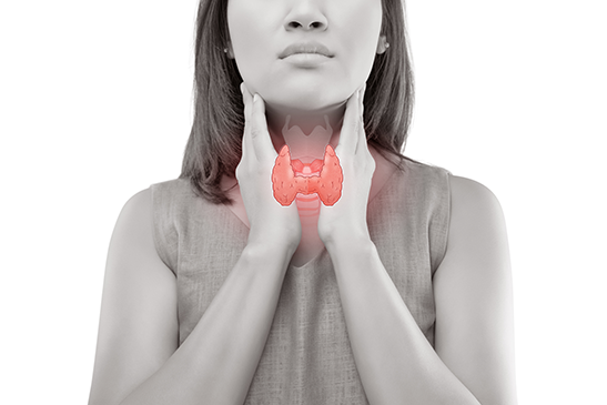 What Does the Thyroid Do and Why Remove It? Explained